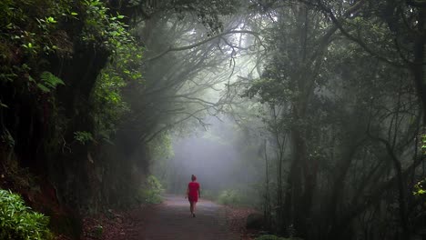 Mystical-forest-forming-a-green-tunnel-of-touching-trees-with-shining-light-and-a-path-that-a-young-woman-in-a-red-dress-walks-fast---Parque-Nacional-de-Garajonay,-static-shot