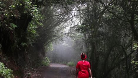 Dreamy,-dark-and-deep-forest-with-shining-rays-of-light-on-the-path-a-woman-in-a-red-dress-walks
