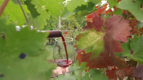 Pouring-red-wine-in-slow-motion-at-vineyards-vine-grape-in-Langhe,-Piedmont