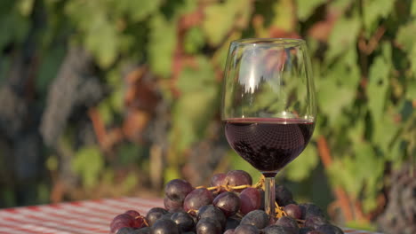 Red-wine-tasting-glass-in-Italian-vineyards,-Langhe-Piedmont-Italy