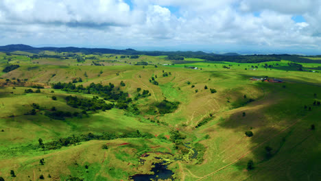 Vibrant-Evergreen-Landscape-In-Atherton-Tablelands-During-Summer-In-Queensland,-Australia