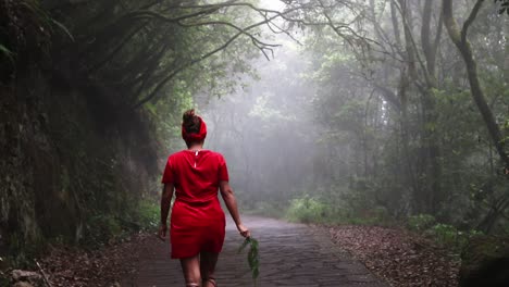 A-young-attractive-woman-in-a-red-dress-with-a-leaf-in-her-hand-walks-down-a-path-in-a-dark-and-overgrown-forest-through-which-sunlight-shines---static-shot