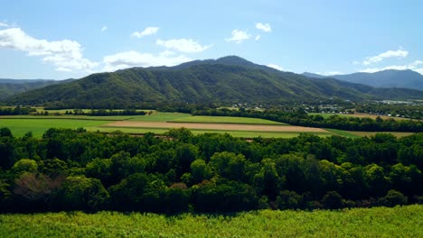 Vibrant-Agricultural-Fields-And-Mountains-In-Cairns,-Queensland,-Australia-At-Daytime---aerial-drone-shot