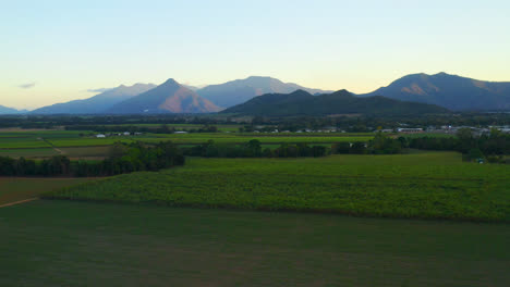Landwirtschaftliche-Felder-Und-Malerische-Berge-In-Cairns,-Queensland,-Australien---Luftdrohnenaufnahme