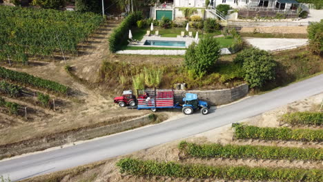 Agricultor-Cosechando-Viña-Con-Maquinaria-De-Tractor