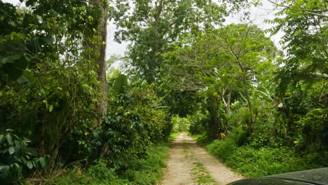 POV-Schuss,-Der-Den-Dschungel-Schotterweg-Im-Abgelegenen-Balneario-Mata-De-Maiz-Gebiet-Der-Dominikanischen-Republik-Hinunterfährt