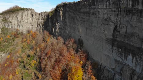 Aerial:-vertical-mountain-rock-wall-over-a-yellowish-forest-in-autumn