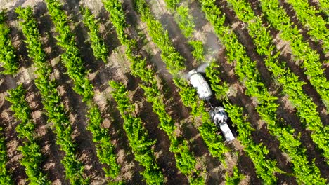 Aerial:-litte-tractor-among-grapevine-and-vineyards