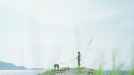 Mädchen-Mit-Ihrem-Alaskan-Malamute-Sightseeing-In-Den-Inselbergen-Von-Donnamannen,-Norwegen