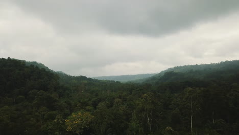 bosques-nubosos-en-la-zona-Ecuatoriana-del-choco