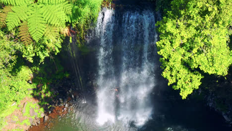 Malerischer-Meile-Wasserfall-In-Atherton-Tablelands,-Far-North-Queensland,-Australien---Drohnenaufnahme-Aus-Der-Luft