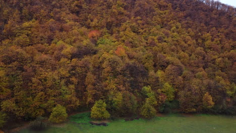 Autumn-forest-trees-yellow-and-red-foliage,-woodland-aerial-view-in-fall-season,-natural-colorful-park