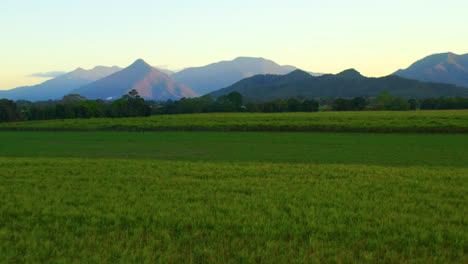 Fliegen-über-Grüne-Landwirtschaftsfelder-Mit-Bergen-Im-Hintergrund-In-Cairns,-Queensland,-Australien---Luftdrohnenaufnahme