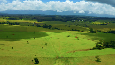Weite-Grüne-Felder-Von-Atherton-Tablelands,-Queensland,-Australien-Tagsüber---Luftdrohnenaufnahme