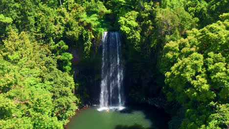 üppige-Vegetation-Rund-Um-Den-Wasserfall-In-Australien---Antenne-Nach-Vorne