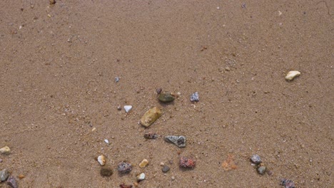 Blick-Auf-Erodierte-Muscheln-Und-Steine,-Die-Auf-Dem-Strandsand-Liegen,-Während-Gezeitenmeereswellen-Auf-Dem-Rahmen-Erscheinen