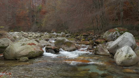 Herbstfluss-Im-Bergwald-Mit-Gelben-Und-Roten-Laubbäumen