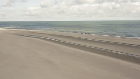 Long-aerial-shot-of-a-group-of-people-on-horses-riding-in-the-surf-of-an-empty-beach