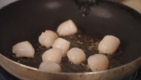 Stationary-close-up-shot-of-fresh-scallops-cooking-on-oiled-frying-pan-with-garlic,-sizzling-and-searing-till-golden-brown-with-crispy-outside,-soft-and-juicy-inside