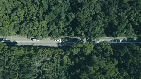 Aerial-view-of-cars-on-a-country-road-in-green-forest