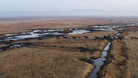 Laufende-Pferde-In-Der-Malerischen-Landschaft-Von-Kayseri-In-Der-Türkei---Luftaufnahme