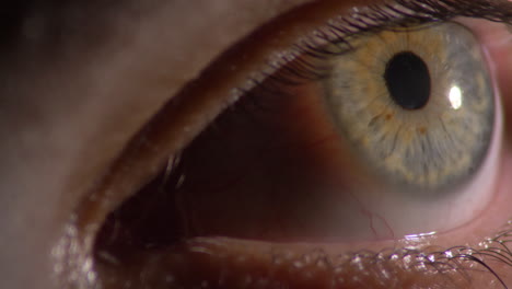 Extreme-Nahaufnahme-Des-Menschlichen-Auges,-Detaillierte-Iris-Und-Pupille