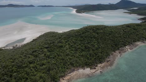Lush-Forest-At-Whitsunday-Islands-National-Park---Whitehaven-Beach-In-QLD,-Australia