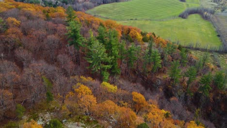 Aerial-view-of-a-hike-on-the-edge-of-Gatineau-Park-and-the-Ottawa-Valley-in-autumn