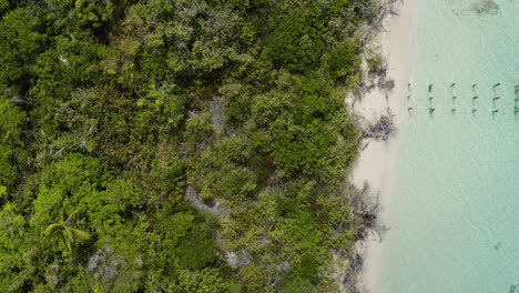 AERIAL---Jungle,-beach-and-boat-on-clear-water,-Cayo-Icacos,-Puerto-Rico,-top-down