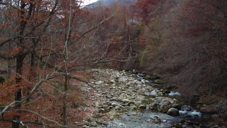 Fluss-Im-Bergwald-Mit-Roten-Und-Gelben-Bäumen-Herbstlaub-Luftbild