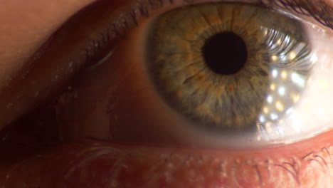 Long-Clip-of-Person's-Eye-Looking-Directly-in-Camera,-Close-Up-MACRO