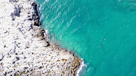 Vertikale-Luftaufnahme-Von-Oben-Nach-Unten,-Menschen-Schwimmen-Im-Blauen-Küstenwasser