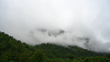 Fast-moving-fog-to-the-left-covering-a-rainforest-in-Sai-Yok,-Kanchanaburi,-Thailand