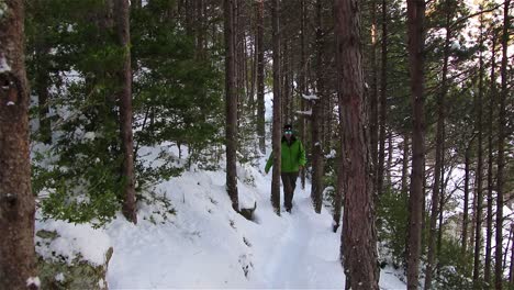 Man-dressed-in-a-green-anorak-walking-along-a-mountain-path-among-trees-in-a-snowy-forest