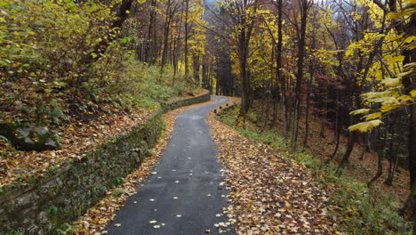 Autumn-road-in-mountain-forest,-yellow-and-red-foliage-trees