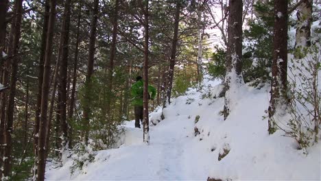 Man-dressed-in-a-green-anorak-walking-along-a-mountain-path-among-trees-in-a-snowy-forest