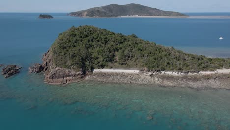 Langford-Island-With-Green-Vegetation-And-Rocky-Seabed-At-Whitsunday-In-Queensland,-Australia
