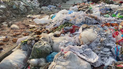 Mülldeponie-Im-Freien,-Die-Die-Umwelt-Mit-Straßenhunden-Verschmutzt---Schwenk