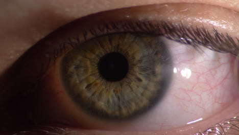 Menschlicher-Augapfel,-Nahaufnahme,-Detailliertes-Auge-Mit-Pupille-Und-Iris,-Kaukasier
