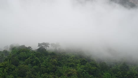 Thick-fog-at-a-rainforest-moving-fast-to-the-left-in-Sai-Yok,-Kanchanaburi,-Thailand