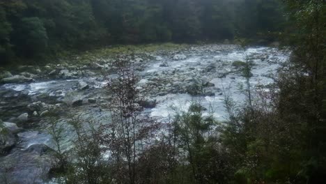 Mystischer-Fluss,-Der-An-Bewölkten-Tagen-Im-Tiefen-Dschungel-Neuseelands-Fließt