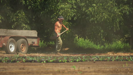 Young-shirtless-farmer-in-the-sun-unloading-soil-with-a-shovel-from-a-truck-onto-the-ground