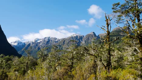 Malerisches-Bergpanorama-An-Sonnigen-Tagen-Auf-Dem-Milford-Track-In-Neuseeland