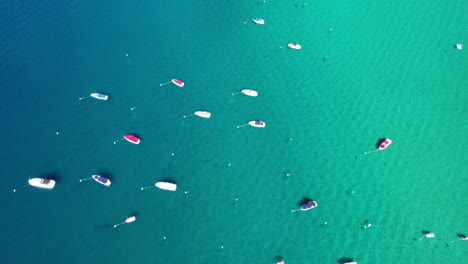 Aerial-top-view-of-many-moored-boats-on-crystal-clear-water-in-Lake-Tahoe