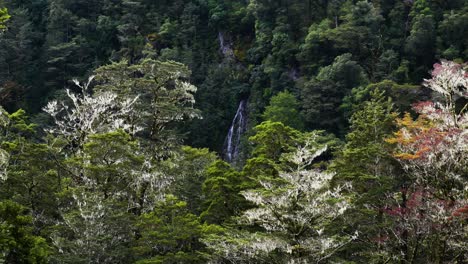 Toma-Amplia-De-Cascada-Que-Fluye-Por-Las-Montañas-Verdes-En-La-Jungla-De-Nueva-Zelanda