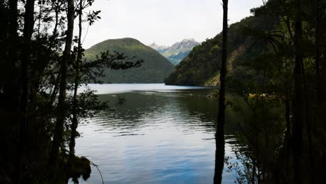 Tilt-down-shot-of-tranquil-lake-surrounded-by-green-mountains-at-Milford-Track-in-new-Zealand