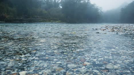 Clear-water-river-with-many-colorful-stones-on-the-ground-in-jungle-of-New-Zealand-during-foggy-day