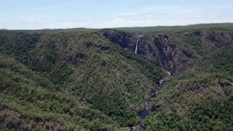 Verdant-Forest-At-Girringun-National-Park-With-Wallaman-Falls-In-QLD,-Australia