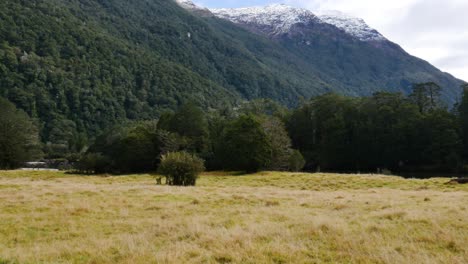Slow-panning-shot-of-grass-landscape-and-vegetated-mountains-with-snowy-peak-in-backdrop