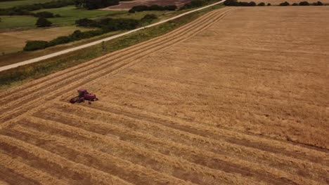 Red-tractor-harvests-the-yellow-grain-in-Uruguay
